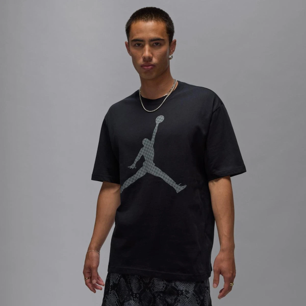 Футболка мужская Air Jordan Brk Mg Fill Ss Crew (IF0399-010)