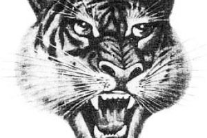 История бренда Onitsuka Tiger by ASICS