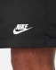 Шорти чоловічі Nike Club (FN3307-010), S