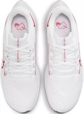 Жіночі кросівки Wmns Nike Air Zoom Pegasus 38 (CW7358-106), EUR 37,5