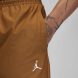 Брюки Air Jordan Essentials (FB7325-281)