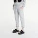 Брюки Жіночі Nike Phoenix Fleece Women's High-Rise Pants (DQ5688-063), S