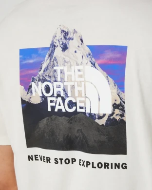 Футболка The North Face (NF0A812HOFM1), S