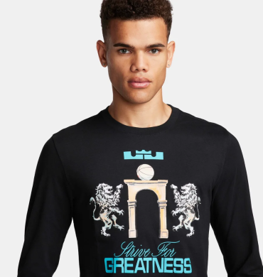 Лонгслив мужской Nike LeBron (FQ4908-010), L