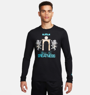 Лонгслив мужской Nike LeBron (FQ4908-010), L