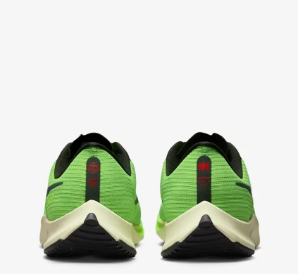 Чоловічі кросівки Nike Air Zoom Rival Fly 3 (DZ4775-304), EUR 42