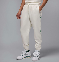 Штани чоловічі Air Jordan Essentials Fleece (HQ4645-133)