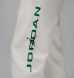 Штаны мужские Air Jordan Essentials Fleece (HQ4645-133), XL