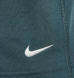Лонгслів чоловічий Nike ACG Goat Rocks Dri-Fit (DO9269-309), M