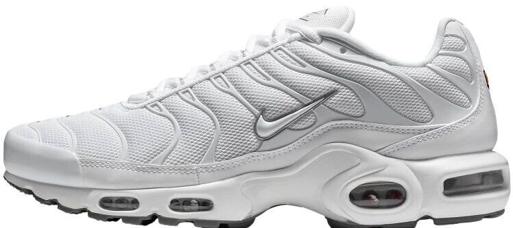 Мужские кроссовки NIKE AIR MAX PLUS (604133-139)