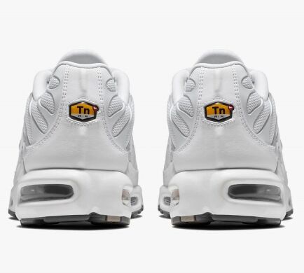 Мужские кроссовки NIKE AIR MAX PLUS (604133-139)