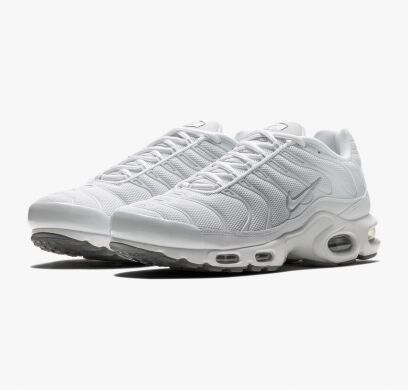 Мужские кроссовки NIKE AIR MAX PLUS (604133-139)