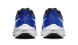 Чоловічі Кросівки Nike Air Zoom Pegasus 39 (DH4071-400)