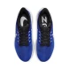 Чоловічі Кросівки Nike Air Zoom Pegasus 39 (DH4071-400), EUR 40,5