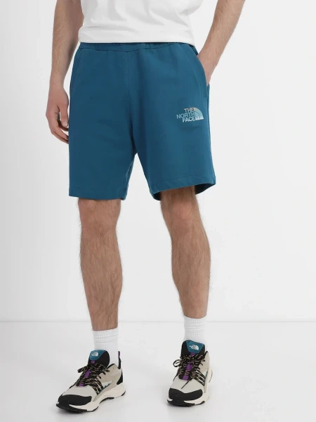 Мужские шорты The North Face D2 Graphic Short (NF0A83FREFS1)