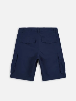 Мужские шорты The North Face Anticline Cargo (NF0A55B68K21)