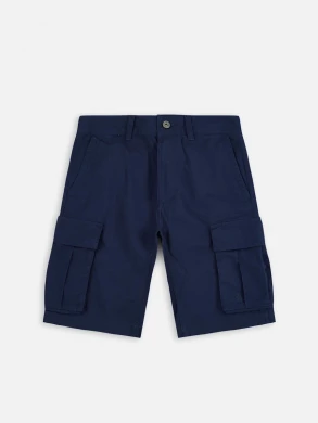 Мужские шорты The North Face Anticline Cargo (NF0A55B68K21)