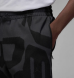 Штаны мужские Air Jordan Sport Hoop Fleece (FV8622-010), S