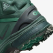 Ботинки Nike ACG Air Zoom Gaiadome Gore-Tex (DD2858-300), EUR 44
