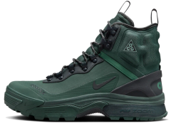 Ботинки Nike ACG Air Zoom Gaiadome Gore-Tex (DD2858-300)