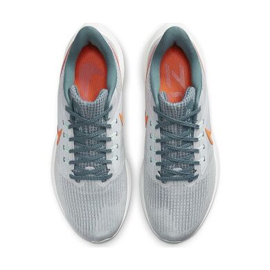 Мужские кроссовки Nike Air Zoom Pegasus 39 (DH4071-003)