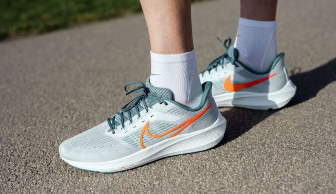 Мужские кроссовки Nike Air Zoom Pegasus 39 (DH4071-003)