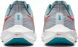 Мужские кроссовки Nike Air Zoom Pegasus 39 (DH4071-003)