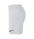 Чоловічі шорти Nike M Nk Vprknit Ii Short K (AQ2685-100)