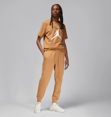 Штаны мужские Air Jordan M J Ess Flc Pant (FJ7779-231), S