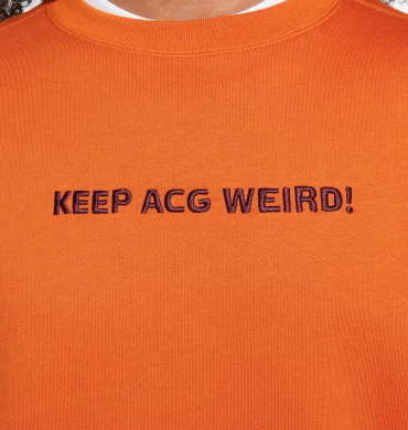 Світшот Nike ACG Therma-Fit Fleece Crew (FD9849-893), M