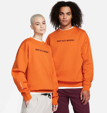 Світшот Nike ACG Therma-Fit Fleece Crew (FD9849-893), M