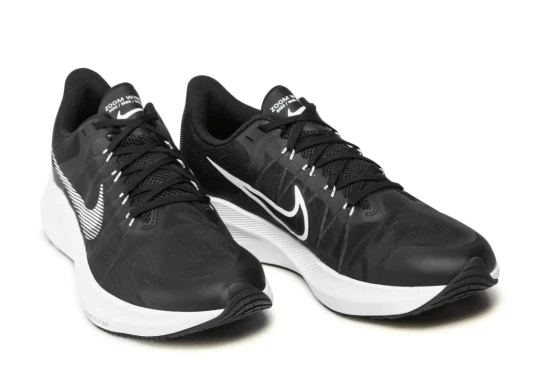 Кросівки Чоловічі Nike Winflo 8 (CW3419-006), EUR 44,5