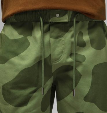 Штаны мужские Air Jordan Ess (FD7455-340), L