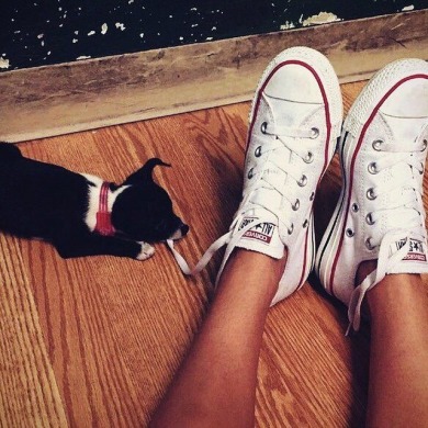 Кеди Converse "White Low Top All Star", EUR 43