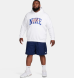 Худи мужское Nike Club Fleece (FV4447-100)