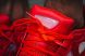 Кросiвки Adidas x Raf Simons Ozweego 2 "Red", EUR 37