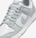 Кроссовки мужские Nike Dunk Low Retro (HF5441-105)