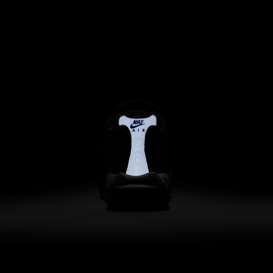 Мужские кроссовки Nike Air Max 95 'Dark Obsidian' (FZ4626-400)