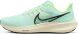 Чоловічі кросівки Nike Air Zoom Pegasus 39 (DH4071-301)