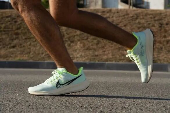Чоловічі кросівки Nike Air Zoom Pegasus 39 (DH4071-301)