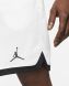 Баскетбольні шорти Jordan Dri-FIT Air (DH2040-100), M