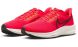 Мужские кроссовки Nike Air Zoom Pegasus 39 (DH4071-600)