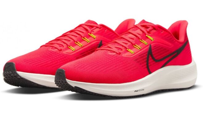 Мужские кроссовки Nike Air Zoom Pegasus 39 (DH4071-600)