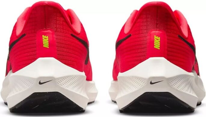 Мужские кроссовки Nike Air Zoom Pegasus 39 (DH4071-600)