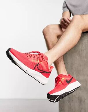 Мужские кроссовки Nike Air Zoom Pegasus 39 (DH4071-600)