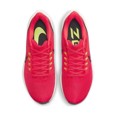 Мужские кроссовки Nike Air Zoom Pegasus 39 (DH4071-600)