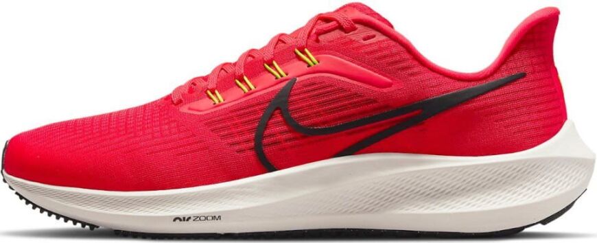Мужские кроссовки Nike Air Zoom Pegasus 39 (DH4071-600)