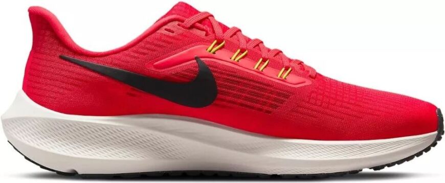 Мужские кроссовки Nike Air Zoom Pegasus 39 (DH4071-600)