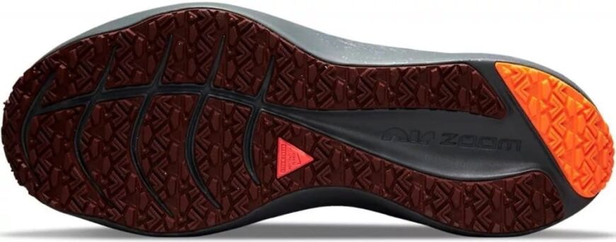 Чоловічі кросівки Nike Zoom Winflo 8 Shield (DC3727-200), EUR 44