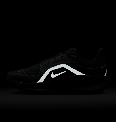 Жіночі кросівки Nike Air Winflo 11 GTX (FQ1359-001), EUR 36,5